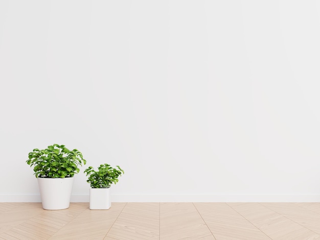 Plantas en macetas en el suelo en el hogar