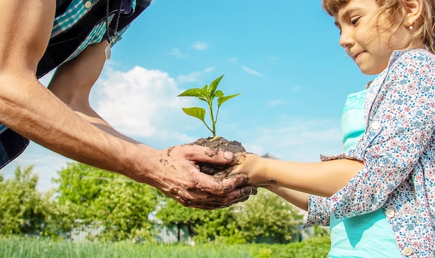 Plantas del niño y del padre en el jardín.