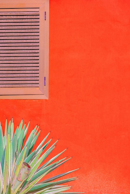 Plantas no papel de parede de moda rosa. palm no fundo da parede brilhante. design tropical mínimo. férias de viagem relaxe o conceito