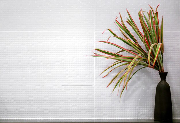 Plantas ornamentais em vaso preto na frente do ladrilho quadrado branco no banheiro