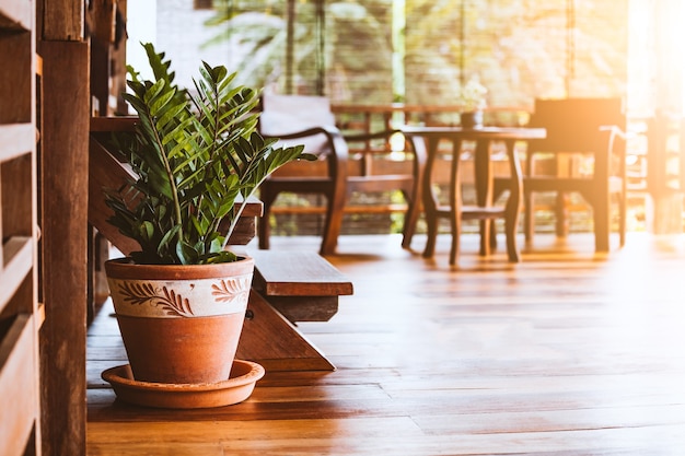 Plantas ornamentais em vasos no estilo local da casa tailandesa