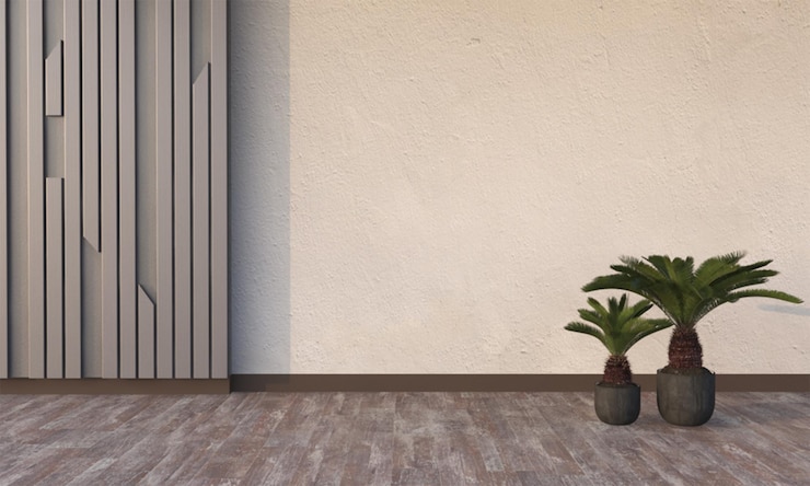 Plantas ornamentales de interior en suelo de madera con fondo de pared vacío