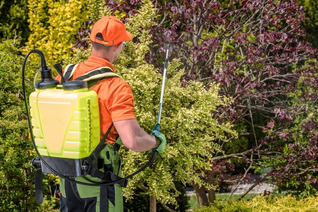 Foto plantas pesticidas no jardim do homem