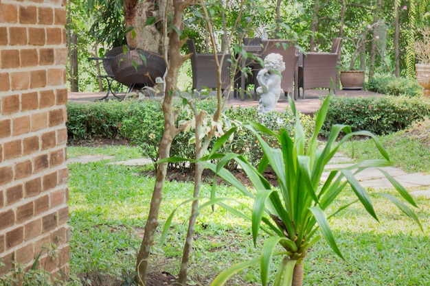 Plantas purificadoras de aire para el hogar.