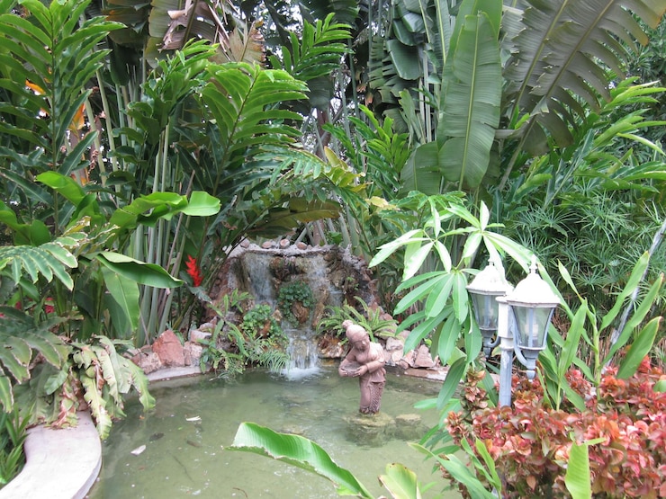 Foto plantas que crecen en los árboles