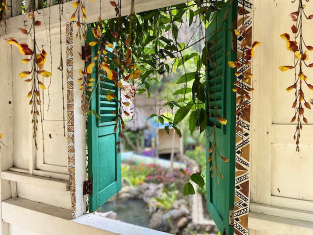 Foto plantas que crecen fuera del edificio