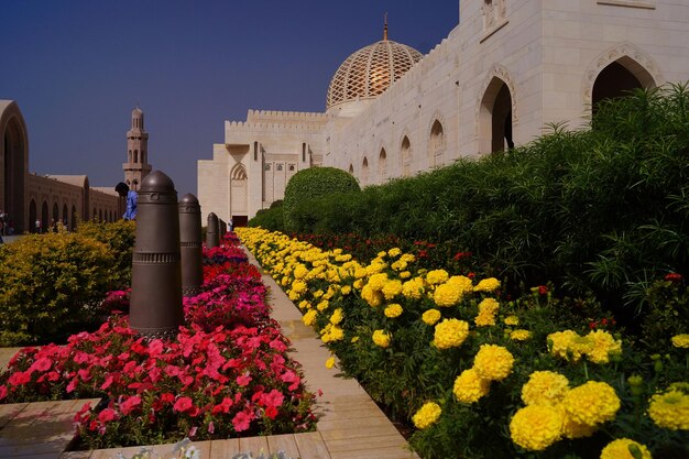 Foto plantas que crecen fuera de la mezquita del sultán qaboos