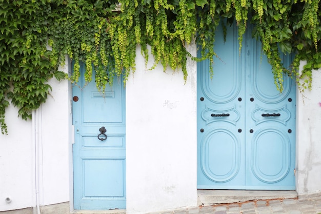 Plantas que crecen en el hogar