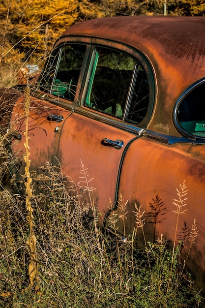 Plantas que crecen junto a un coche abandonado estacionado en el campo