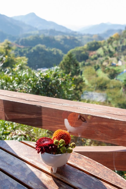 Foto plantas que crecen en la mesa contra los árboles