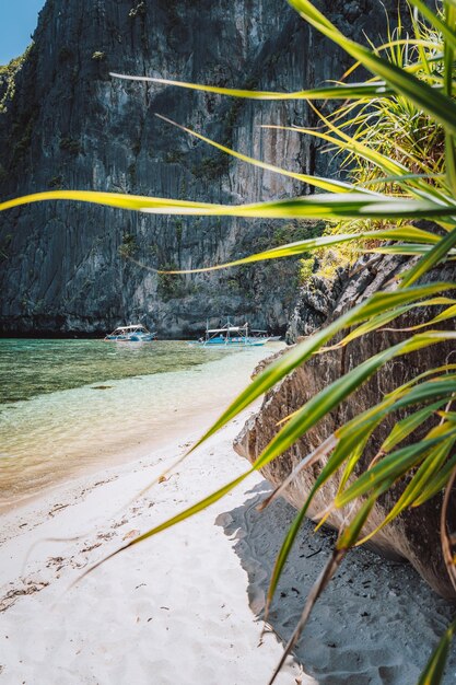 Foto plantas que crecen en tierra junto al mar