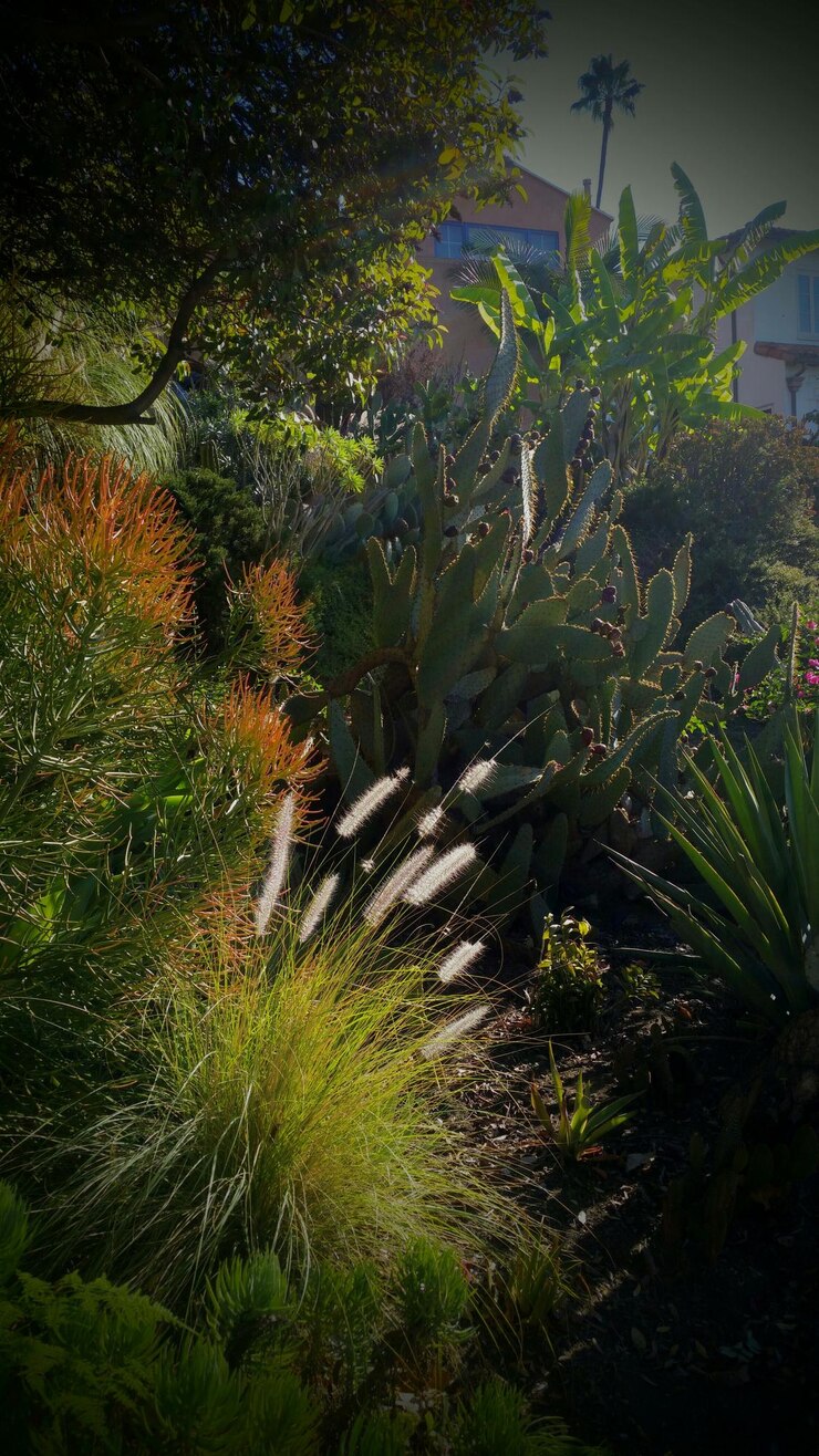 Foto plantas que crescem em árvores