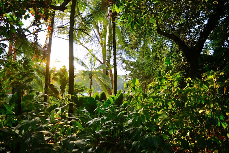 Foto plantas que crescem em árvores