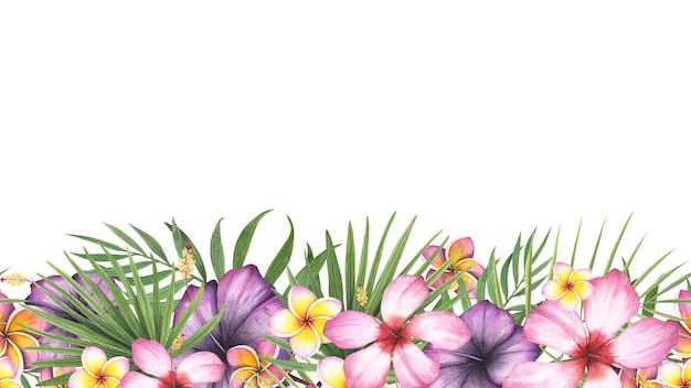 Plantas tropicais de fronteira sem costura palmeira hibisco plumeria flor isolada fundo branco aquarela ilustração botânica desenhada à mão Arte para design bandeira modelo de beleza relaxamento spa