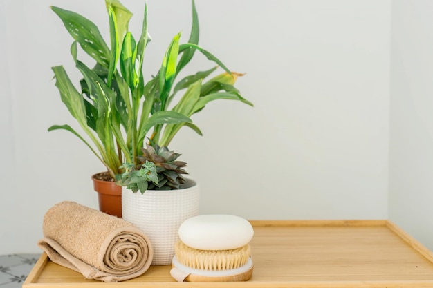 Plantas verdes en baño. Vida ecológica. Cero desperdicio