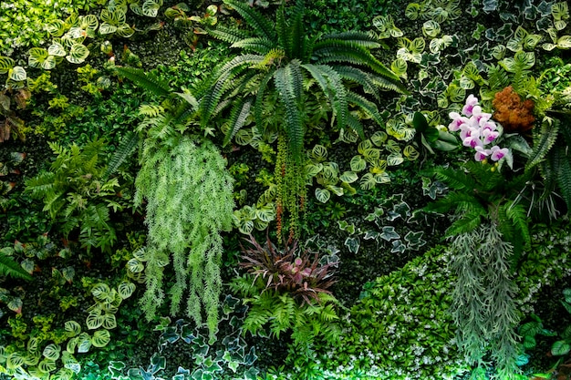 Plantas verdes decoran en pared de madera