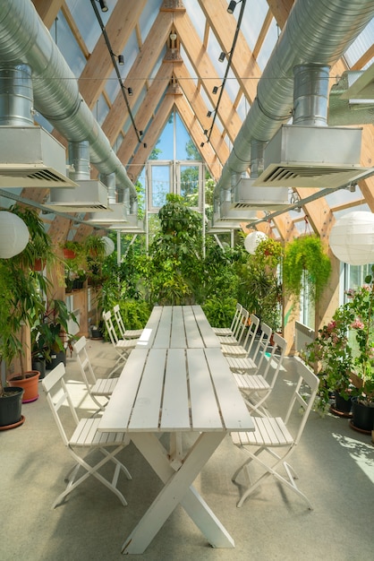 Plantas verdes em um pavilhão com telhado de vidro. Interior moderno.