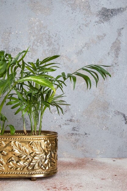 Plantas verdes em vaso de bronze vintage