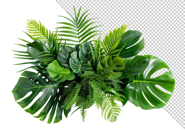 Foto plantas verdes exuberantes maquete vista de cima