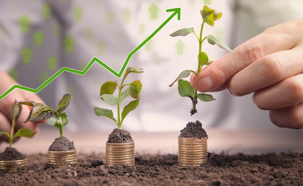 Plantas verdes que crecen en monedas de oro con flechas.