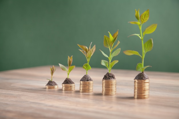 Plantas verdes que crecen en monedas de oro.