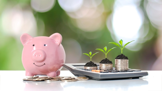 Plante un árbol verde en una pila de dinero y una calculadora para el crecimiento financiero y las ideas para ahorrar dinero.