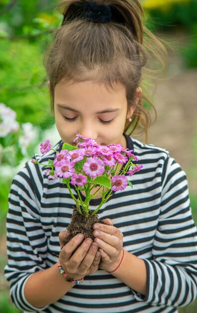 Plante flores no jardim