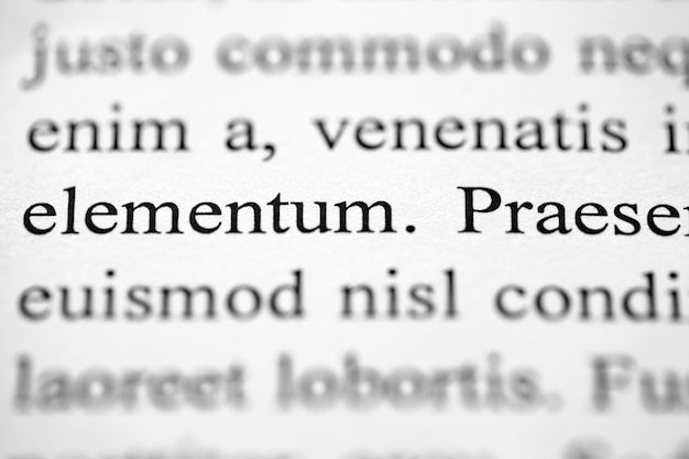 Plantilla de documento de Lorem Ipsum impresa en fuente negra sobre papel blanco con enfoque selectivo