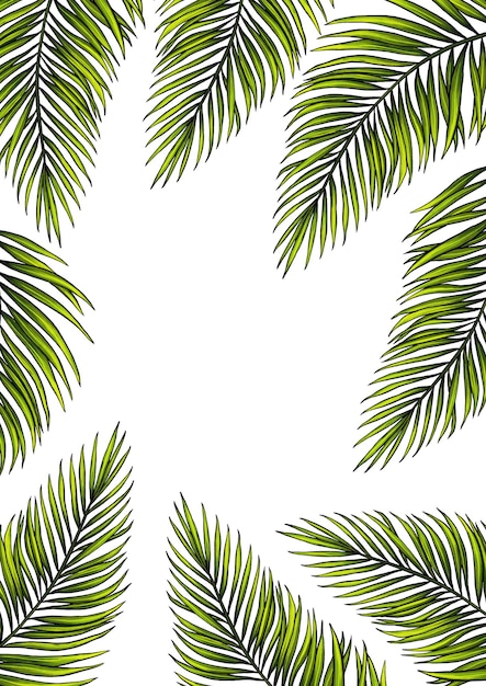 Plantilla rectangular A4 para texto con hojas de palmeras tropicales Marco o borde con plantas exóticas de la selva tropical Aisladas en blanco Ilustración dibujada a mano realista para el diseño de etiquetas