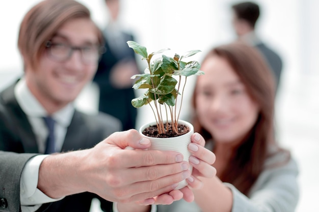 Plántula en manos de jóvenes empresarios