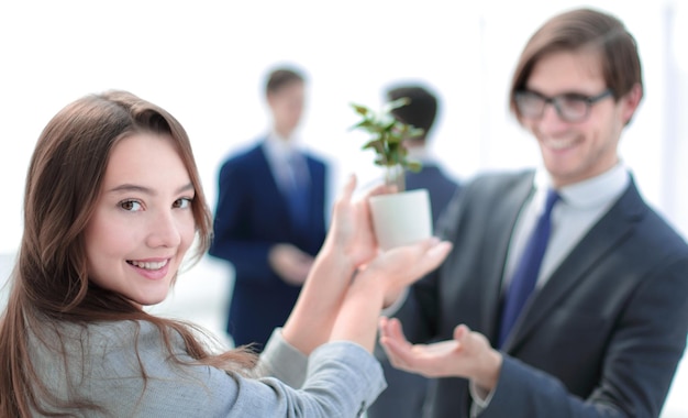 Plántula en manos de una mujer de negocios