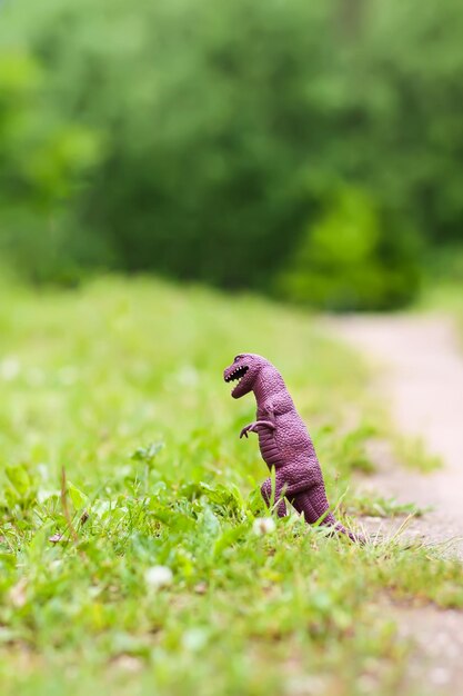 Plastikdinosaurierspielzeug auf grünem Gras im Freien.