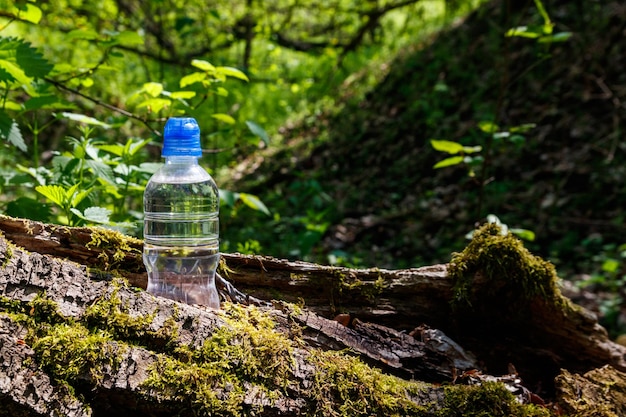 Plastikflasche mit frischem Trinkwasser auf grünem Waldhintergrund