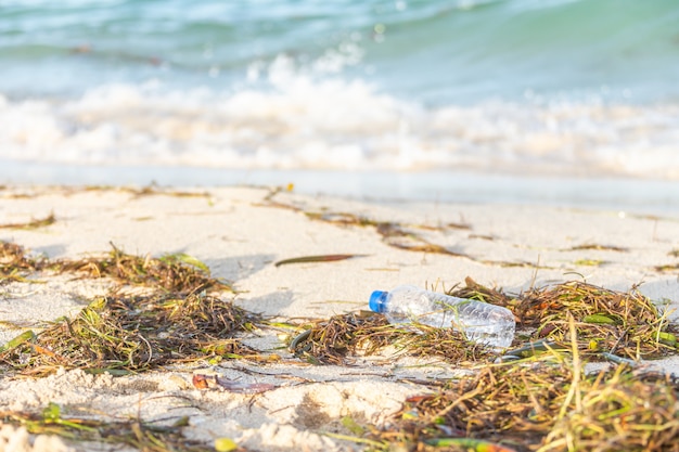 Plastikflasche mit Kappe wusch das upbeach, das mit Meerespflanze gemischt wurde