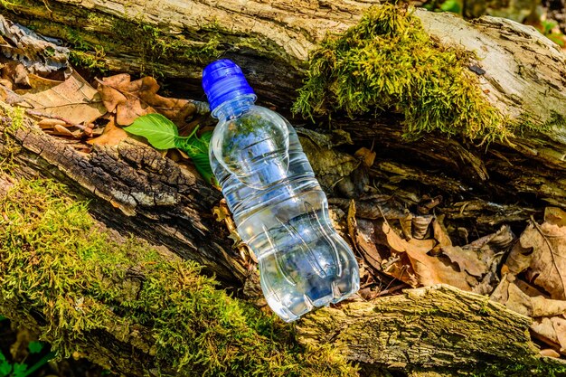Plastikflasche mit klarem Wasser auf Baumstamm im Wald