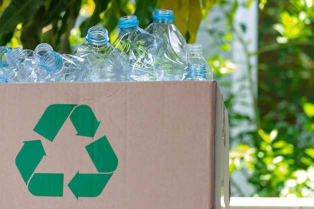 Plastikflaschen in eine Box für das Recyclingkonzept. Weltumwelttag.