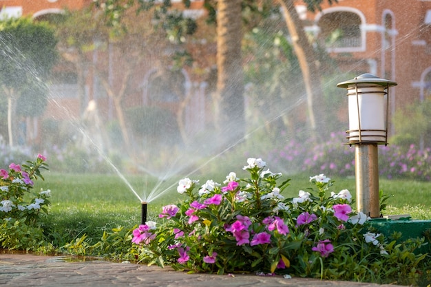 Plastiksprinkler bewässern Blumenbeet auf Rasen mit Wasser im Sommergarten. Bewässerung der grünen Vegetation während der Trockenzeit, um sie frisch zu halten.