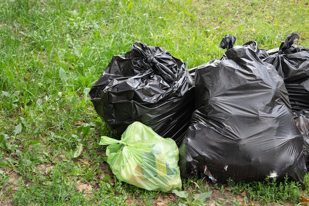 Plastiktüten mit Müll liegen auf dem Graskopierraum