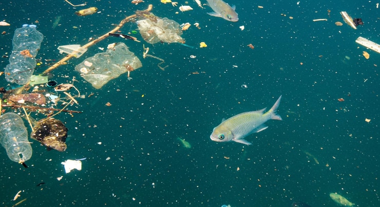 Foto plastikverschmutzung der ozeane