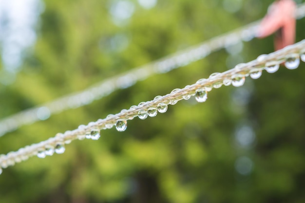 Plastikwäscheleine mit Wäscheklammer und Tautropfen Reflexion von Bäumen in Wassertröpfchen verschwommene Bäume auf grünem Hintergrund