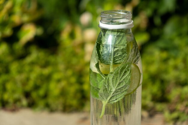 Plastikwasserflasche mit Minzblättern und Limettenscheiben erfrischendes Sommergetränk