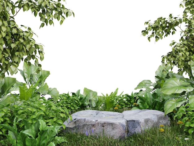 Plataforma de piedra en pradera para presentación de productos y sobre fondo transparente.