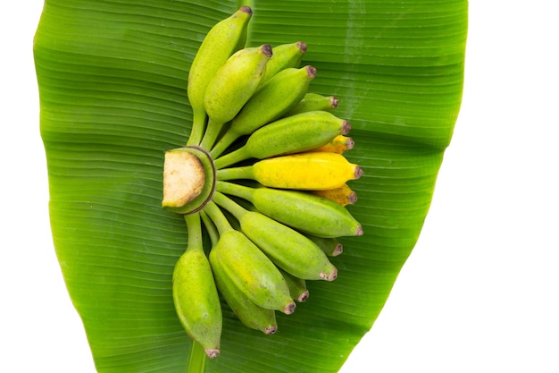 Foto plátano cultivado en hoja sobre fondo blanco.