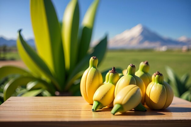 plátano fruta deliciosa favorita comida verde comida orgánica fondo de papel tapiz de plátano