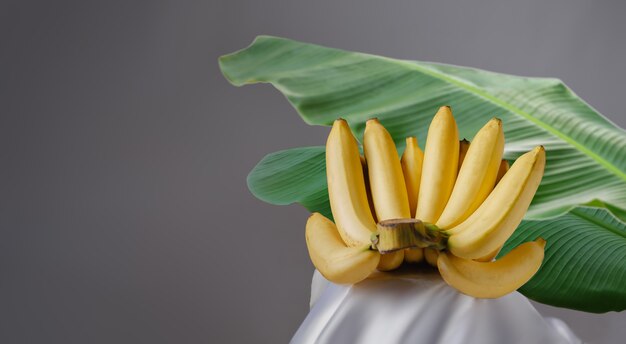 Plátano con hojas sobre fondo gris