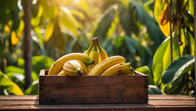 Foto plátano maduro en una caja de madera en la naturaleza