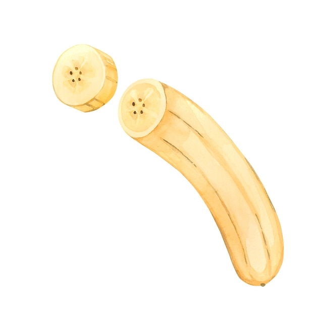 Foto un plátano maduro sin cáscara un pedazo de plátano un círculo de fruta todos los elementos están pintados a mano en acuarela para imprimir en tela y papel para textiles de cocina ilustración en acuarelas