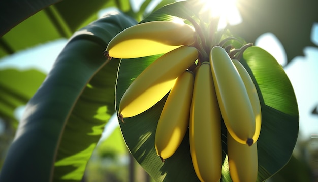 Un plátano en una palmera en la orilla del océano IA generativa