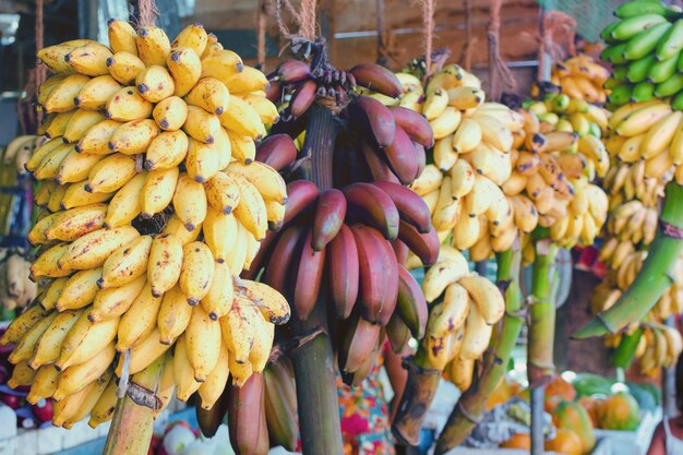 Plátanos amarillos y rojos en las ramas. Comida orgánica simple y natural.