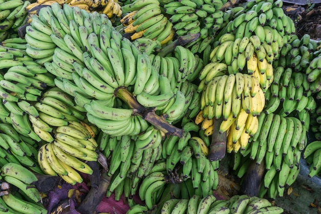 Plátanos en casa de agricultores